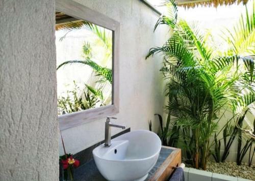 Hostal Lombok Hill Wiolett