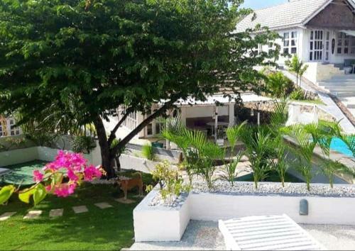 Hostal Lombok Hill Wiolett