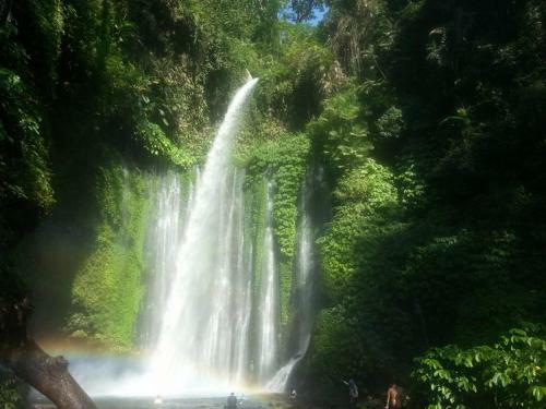 Hostal Lombok Hill Wiolett