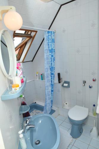 Hostal Viola House