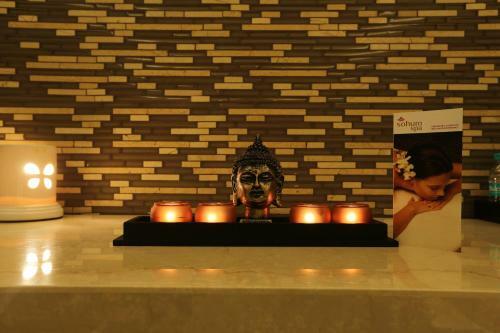 Feathers- A Radha Hotel, Chennai