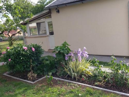 Gy�ngy Apartman