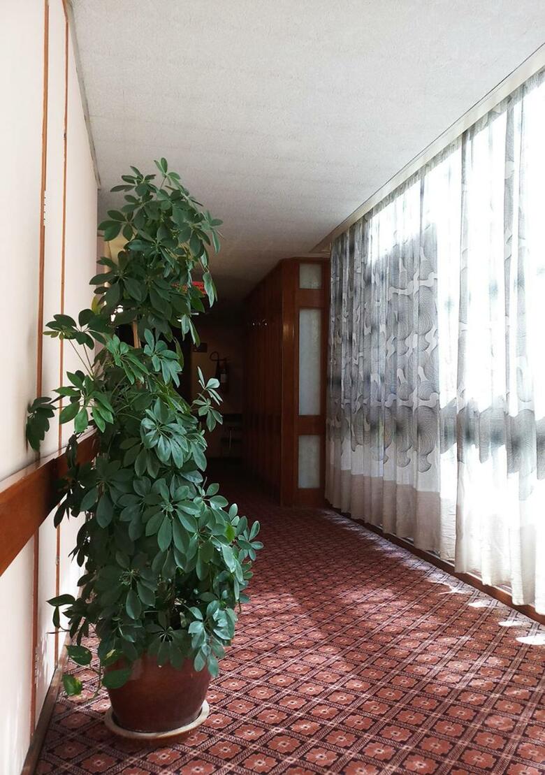 Oriental Palace Hotel
