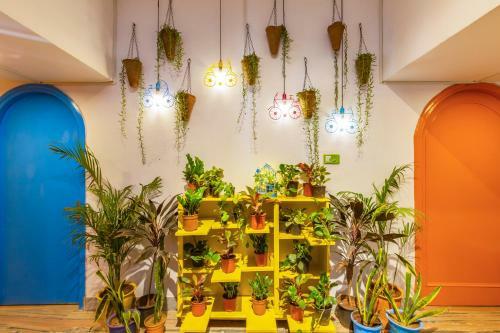 Roadhouse Hostels