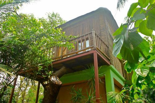 Bed & Breakfast Mich�le's Garden