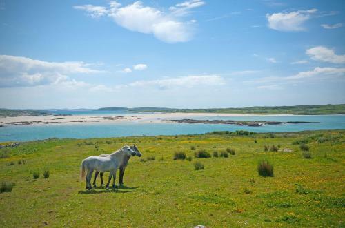 Cottage 215 - Claddaghduff