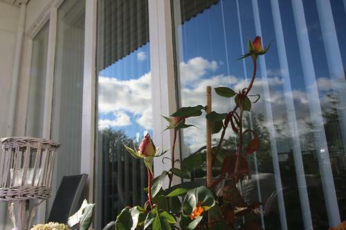 Sunset H20 Apartment Or Deluxe Room
