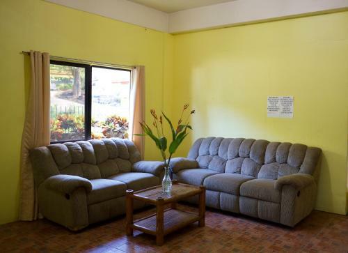 Fat Monkey Hostel