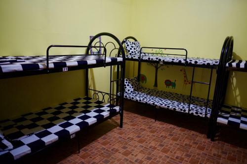 Fat Monkey Hostel