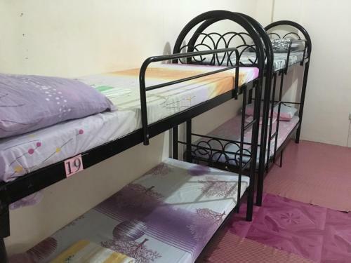 Fat Monkey Hostel