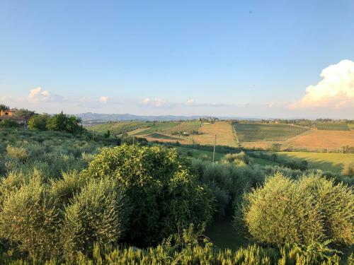 Agroturismo Agriturismo L'olmo