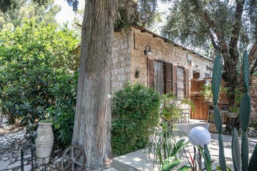 Bed & Breakfast Lemazkeret