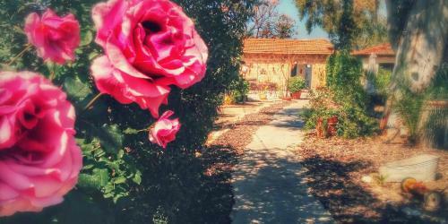 Bed & Breakfast Lemazkeret