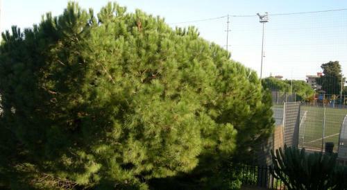 Bed & Breakfast San Carlo Suite Apartment