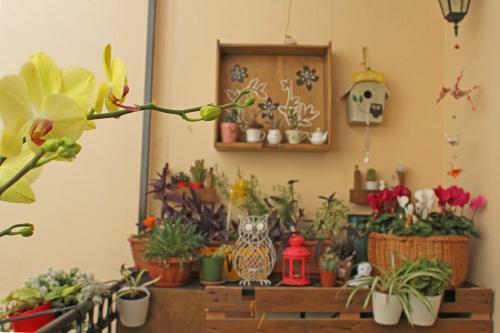 Buen Aire B&B Cagliari
