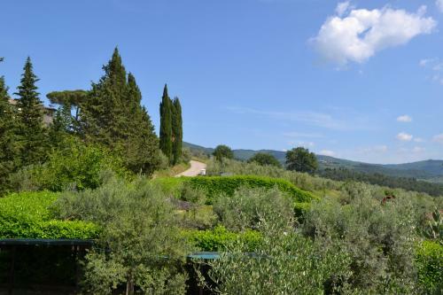 Agroturismo Terre Di Melazzano