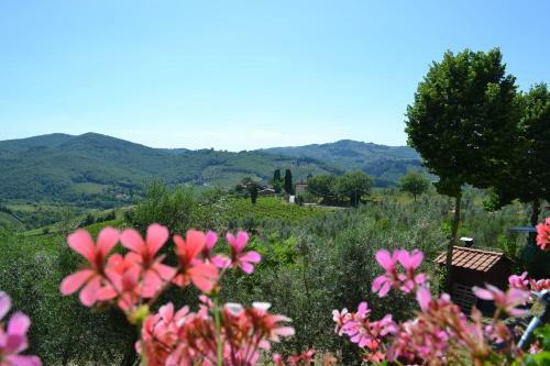 Agroturismo Terre Di Melazzano