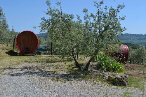Agroturismo Terre Di Melazzano