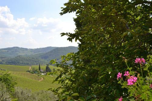 Agroturismo Terre Di Melazzano