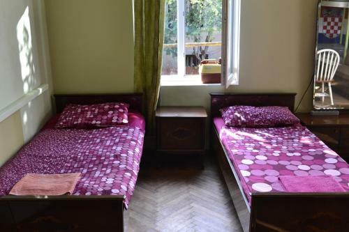 Picnic Hostel