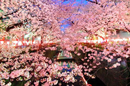 Apartamentos Yui Shibuya