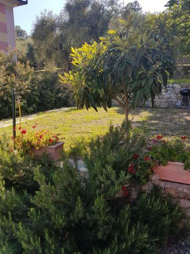 Villa Caterina