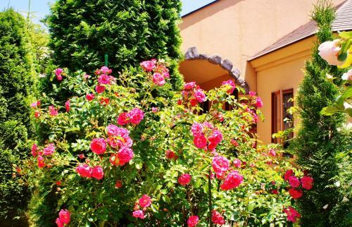 Posada Aromatic Garden Villa La Poltrona