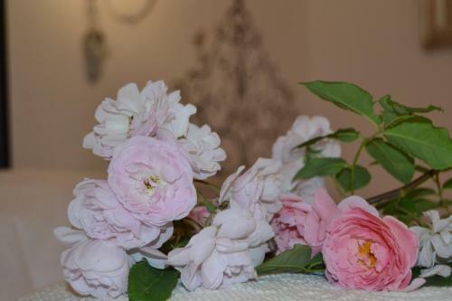 B&B Villa Il Poggiolino