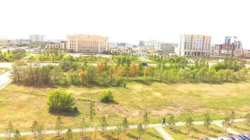 Apartment In Heart Of Astana