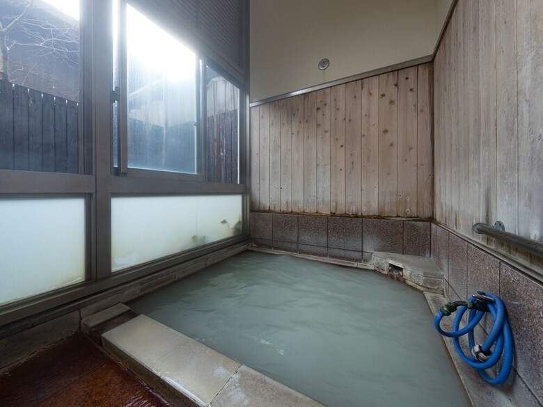 Hotel Seiunso