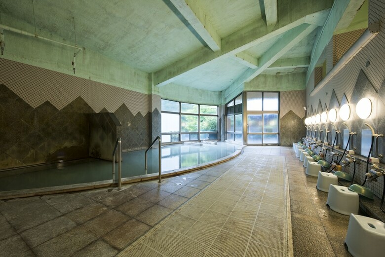 Hotel Seiunso