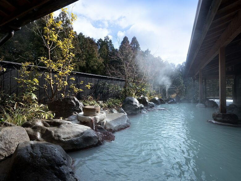 Hotel Seiunso