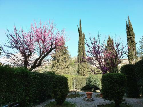 Bed & Breakfast Villa Zara