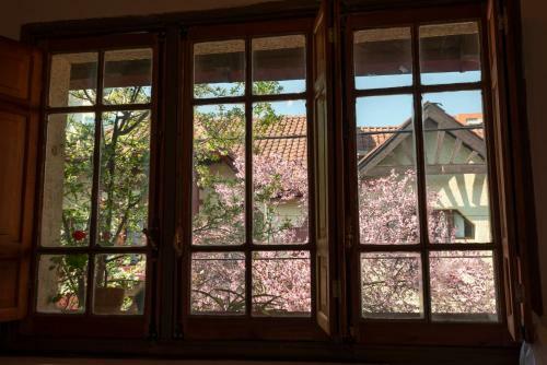 Providencia Bed & Breakfast