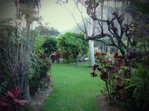 Bed & Breakfast Villa El Rosario