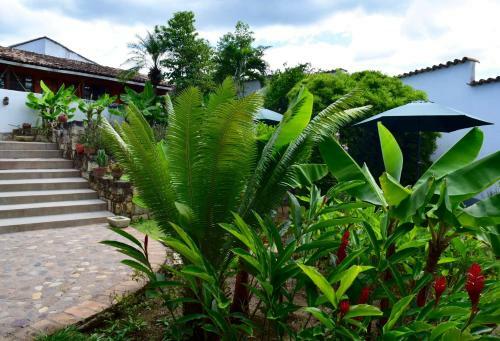 Bed & Breakfast La Casa De Cafe