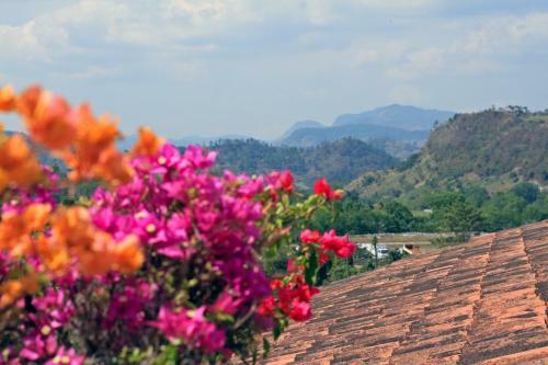 Bed & Breakfast La Casa De Cafe