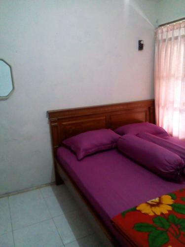 Homestay Samawa