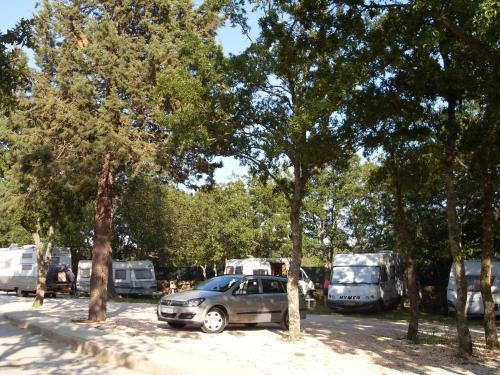 Villaggio Camping Bosco Selva