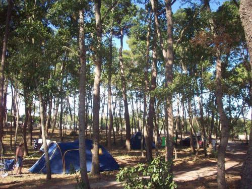 Villaggio Camping Bosco Selva