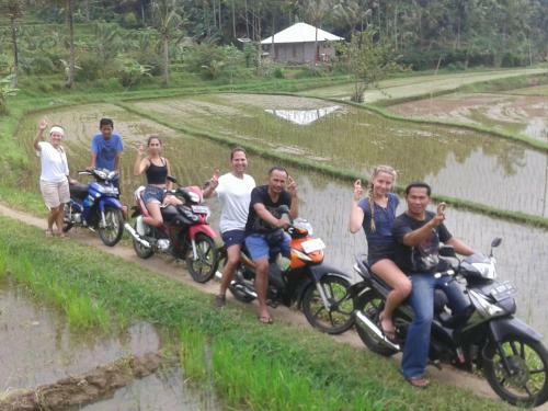 Bed & Breakfast The Kubu Galungan