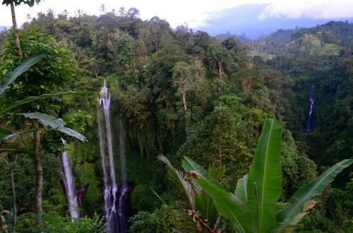Bed & Breakfast The Kubu Galungan