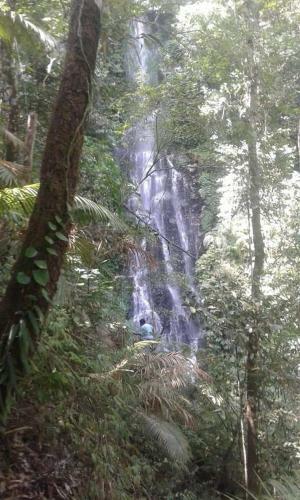 Bed & Breakfast The Kubu Galungan
