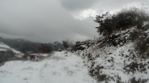 Dhanaulti Camp Homes And Retreat