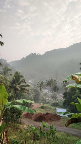 Thoppil Homestay Munnar