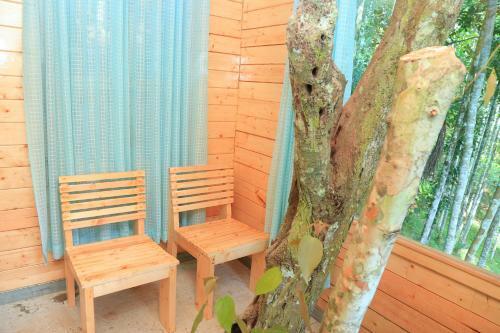 Hotel Bamboo Creek Resort