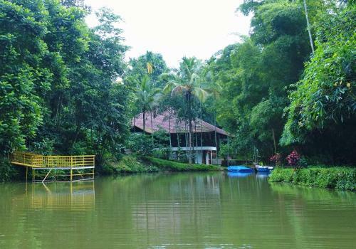 Hotel Bamboo Creek Resort