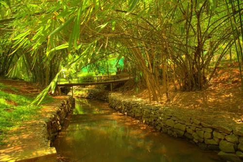 Hotel Bamboo Creek Resort