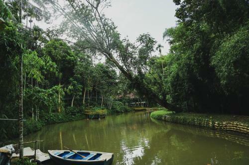 Hotel Bamboo Creek Resort