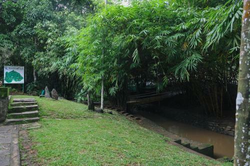 Hotel Bamboo Creek Resort